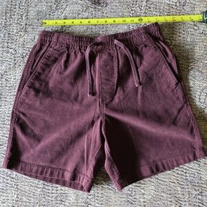 Todd Snyder Maroon Casual Shorts